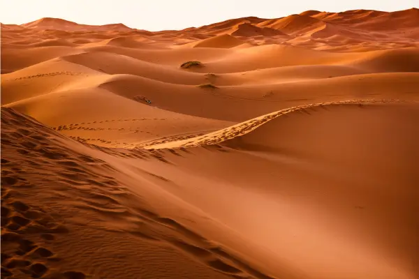 Expedição de Merzouga até M’Hamid por Areias Quentes e Oásis Perdido no Saara