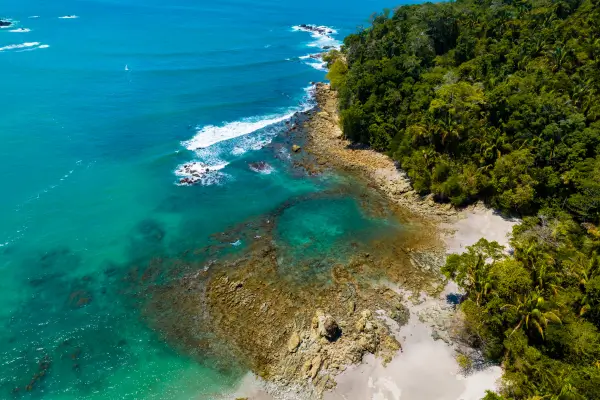 Trilha do Parque Nacional Corcovado na Costa Rica, Floresta Tropical Mais Intocada da América Central