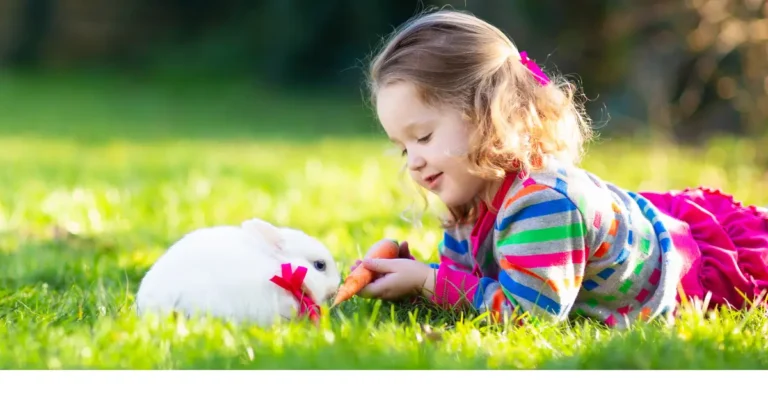 mini coelho branco comendo com uma criança do lado em um gramado